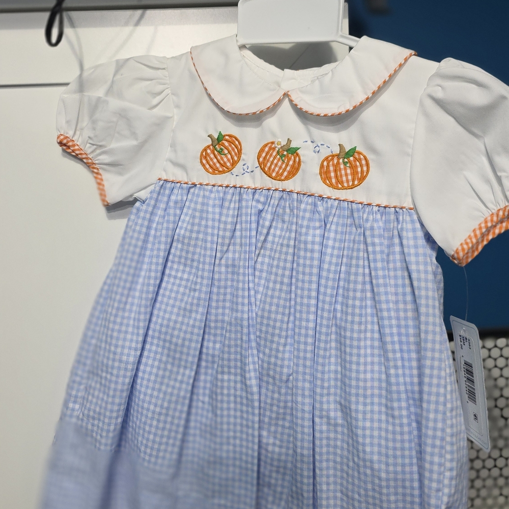 Petit Ami Blue and White Pumpkin Embroidered Costume